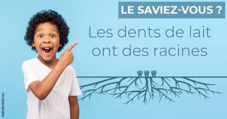 https://dr-loic-calvo.chirurgiens-dentistes.fr/Les dents de lait 2