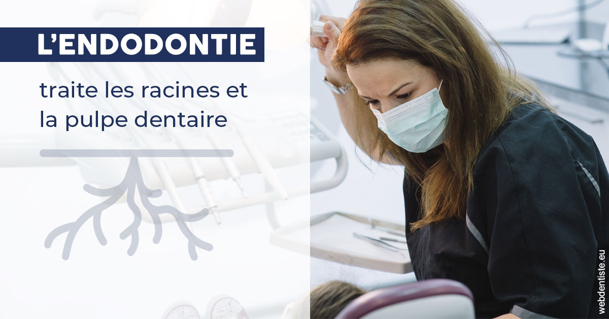https://dr-loic-calvo.chirurgiens-dentistes.fr/L'endodontie 1