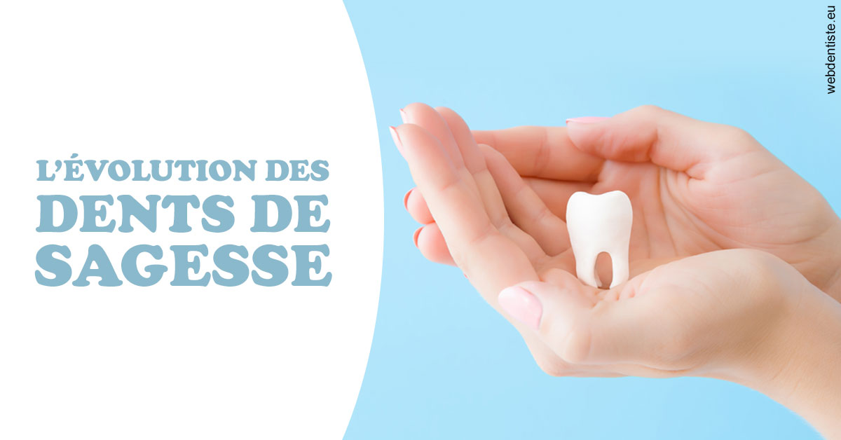 https://dr-loic-calvo.chirurgiens-dentistes.fr/Evolution dents de sagesse 1