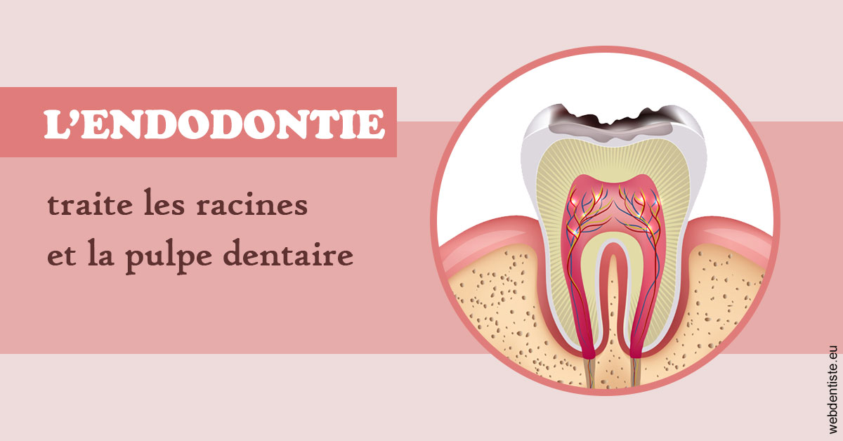 https://dr-loic-calvo.chirurgiens-dentistes.fr/L'endodontie 2