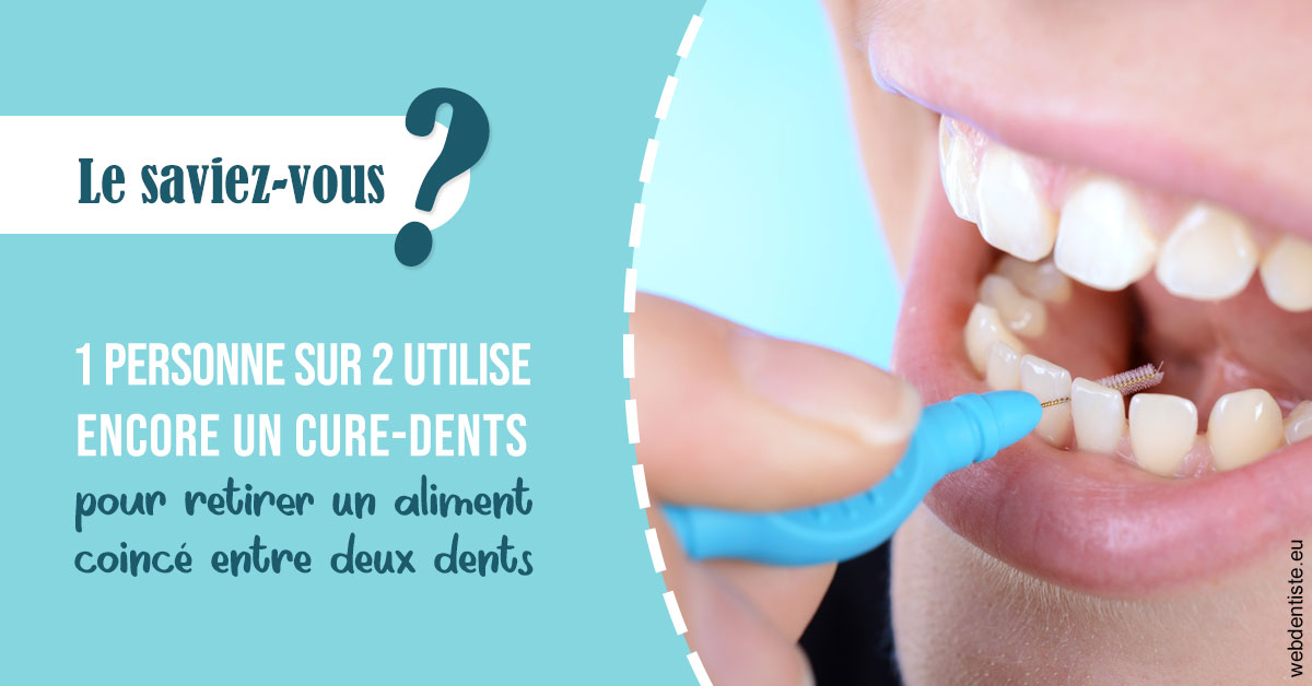 https://dr-loic-calvo.chirurgiens-dentistes.fr/Cure-dents 1