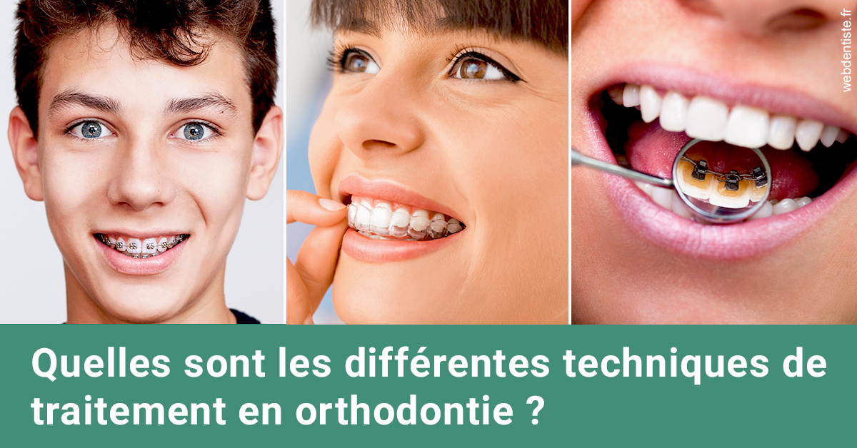 https://dr-loic-calvo.chirurgiens-dentistes.fr/Les différentes techniques de traitement 2