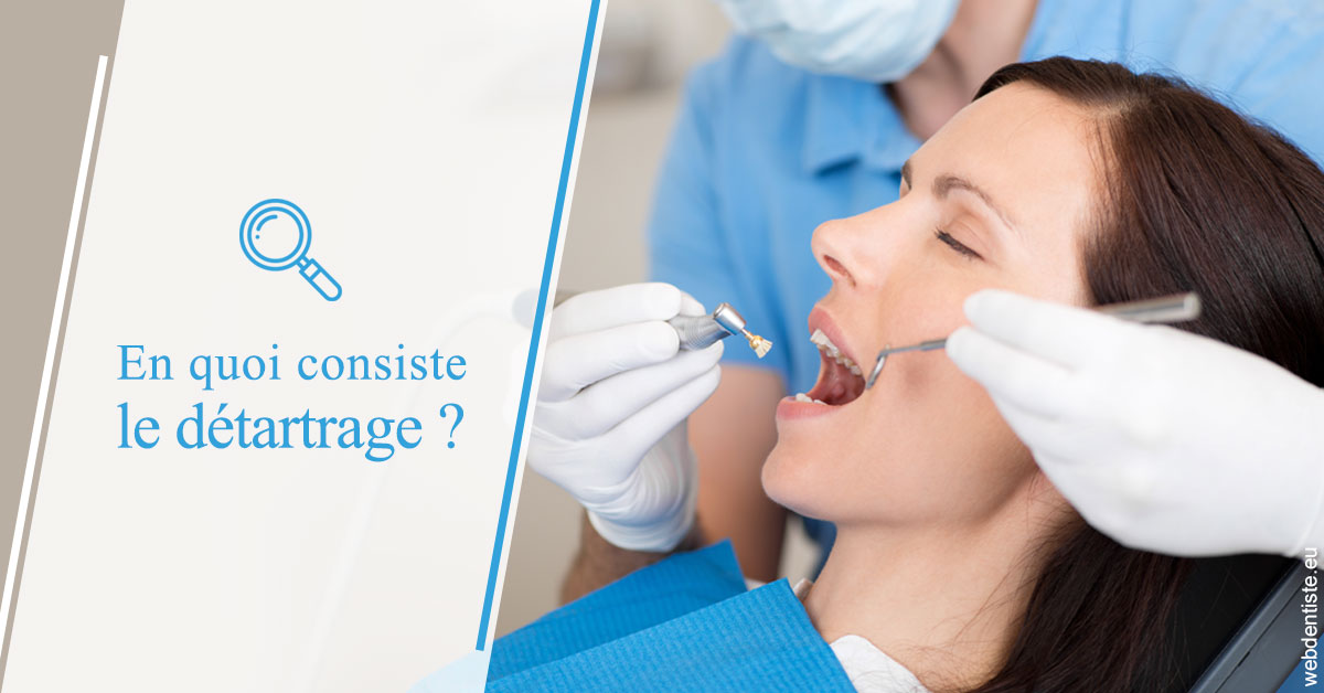 https://dr-loic-calvo.chirurgiens-dentistes.fr/En quoi consiste le détartrage